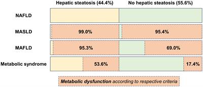 Insulin resistance and central obesity determine hepatic steatosis and explain cardiovascular risk in steatotic liver disease
